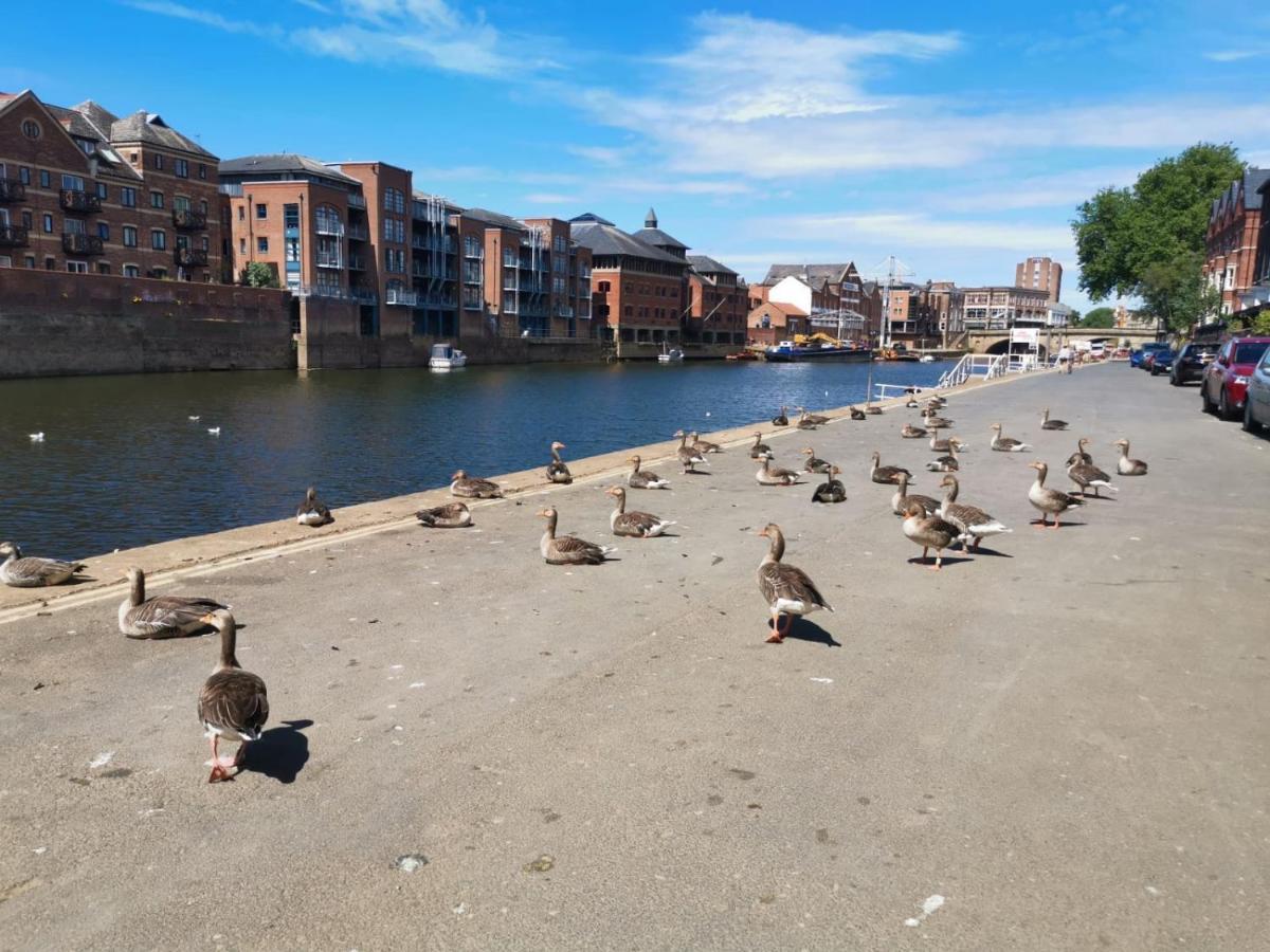 Hartoft St - 2 Bed Near River York Eksteriør billede